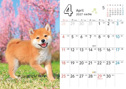 Nonbiri Shima Nyan CALENDAR 2027 (Monthly/Wall Calendar) (Impress Calendar 2027)