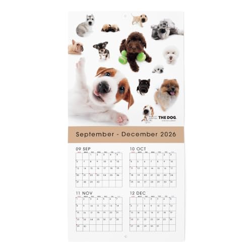 THE DOG 2027 Wall Calendar Mini Size [All Stars]