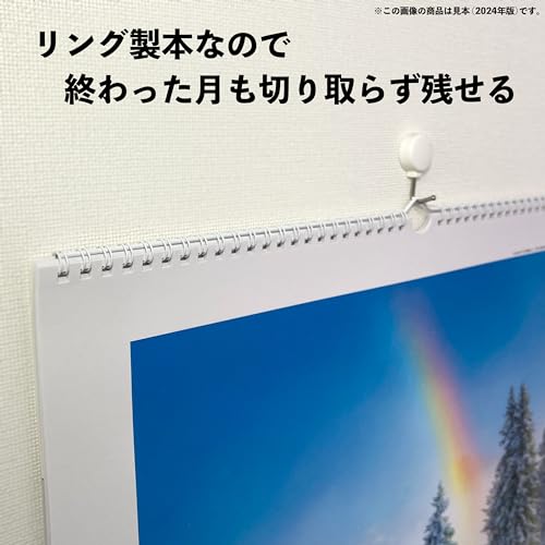 Todan 2027 Wall Calendar Impression of the World 59.8 x 42.5cm TD-30651