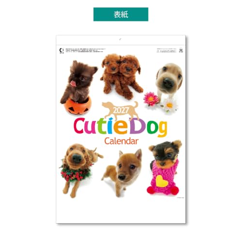 Eco Wall Calendar 2027 2-Month View Double B5 Size E93