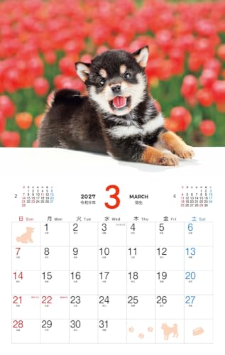 New Japan Calendar 2027 Wall Calendar World Golf Courses NK146 738x515mm