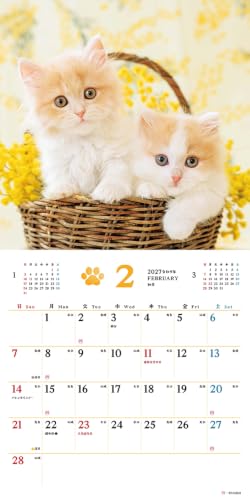 King Corporation 2027 Desk Calendar Eco Balloon 160 x 180mm KC10001