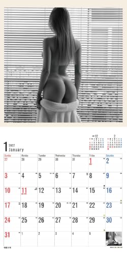 Try-X 2027 Wall Calendar Bottoms 27CL-1701 60x30cm