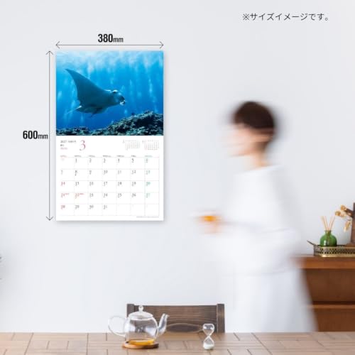 New Japan Calendar 2027 Sora Calendar Page-A-Day Calendar NK8818 185 x 120mm