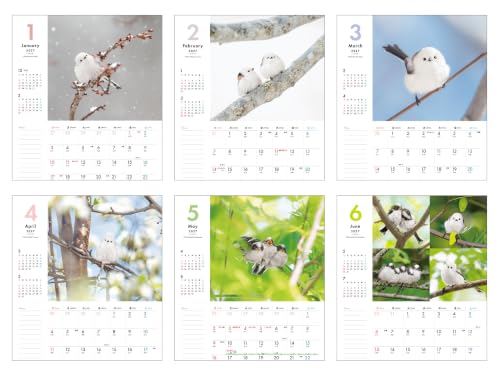 New Japan Calendar 2027 Wall Calendar The Garden NK45
