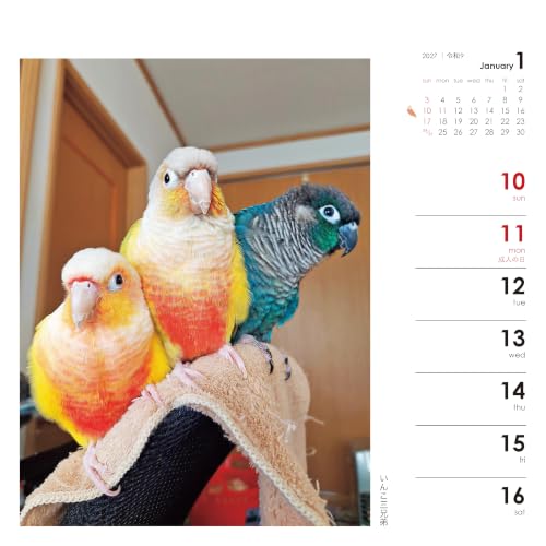 Yama-kei Calendar 2027 Parakeet Days (Weekly Calendar / Desk / Ring)
