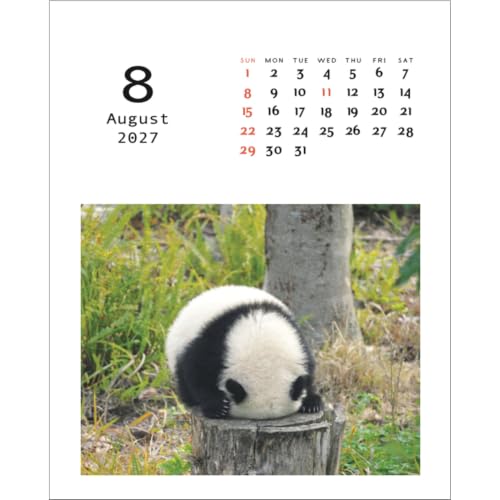 Greeting Life 2027 Desk Calendar Panda C-1768-PA