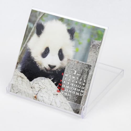 New Japan Calendar 2027 Desk Calendar Seasonal Fortune Calendar NK561