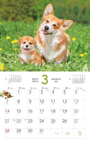 Gakken Sta:Ful 2027 Calendar Keiko Sena Megane Usagi Desk Calendar M10506