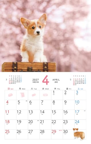 Gakken Sta:Ful 2027 Calendar Keiko Sena Megane Usagi Desk Calendar M10506