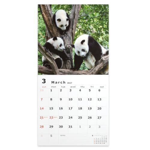 Noritsu NOLTY 2027 Desk Calendar 22 Modified B6 C223