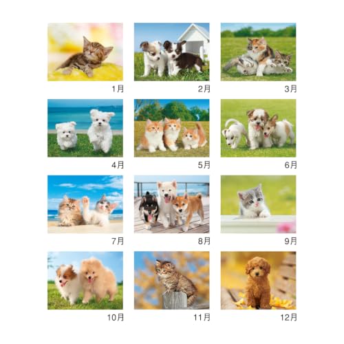 New Japan Calendar 2027 Wall Calendar My Pet NK109