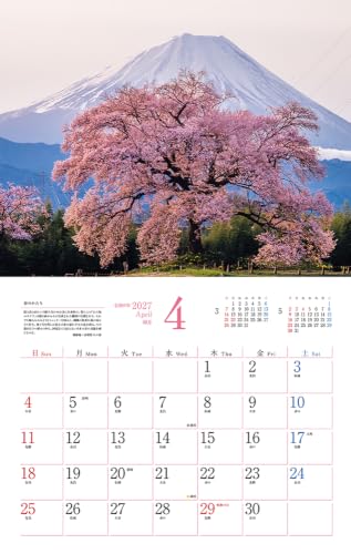 Eco Wall Calendar 2027 Modified A3 (Monday Start) E17
