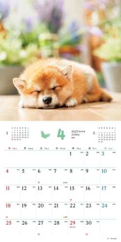 King Corporation 2027 Desk Calendar Eco Mind 130 x 145mm KC10002