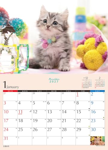 Try-X 2027 Wall Calendar Kitten Munchkin 27CL-382 51x36cm