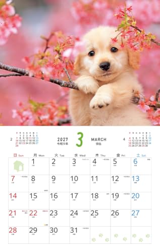 Fuwa Fuwa Wanko 2027 Calendar (Monthly/Wall Calendar) (Impress Calendar 2027)
