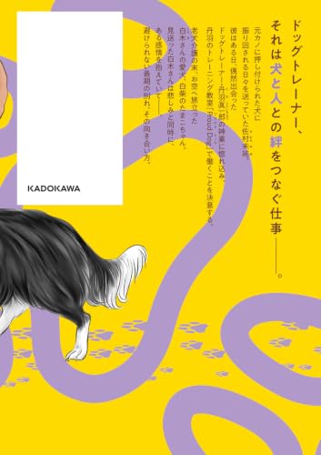 DOG SIGNAL 16
