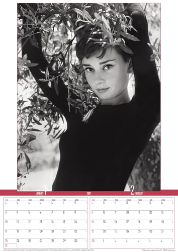 Try-X 2027 Wall Calendar Audrey Hepburn B2 27CL-341
