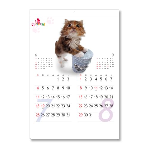 Eco Wall Calendar 2027 2-Month View Double B5 Size E91