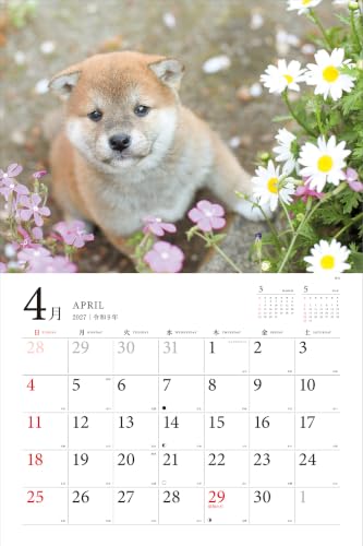 Adorable Dogs of Japan Calendar 2027 (Montly/Wall Calendar/Large)