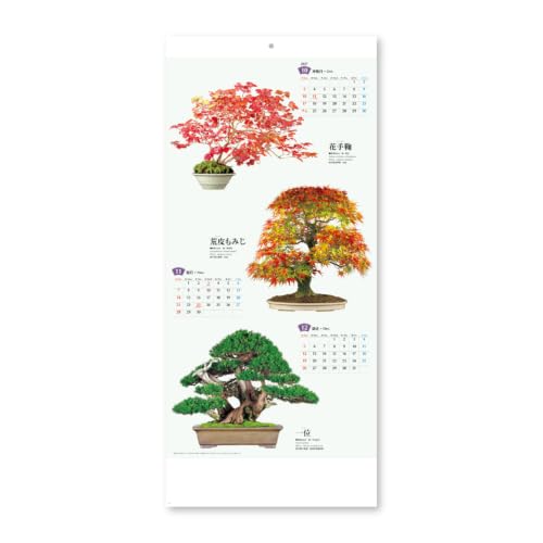 New Japan Calendar 2027 Wall Calendar Bonsai Calendar NK152 770x350mm