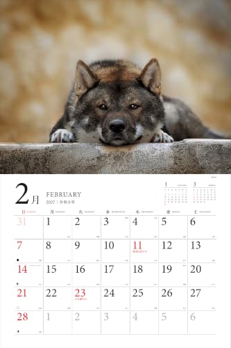 Adorable Dogs of Japan Calendar 2027 (Montly/Wall Calendar/Large)