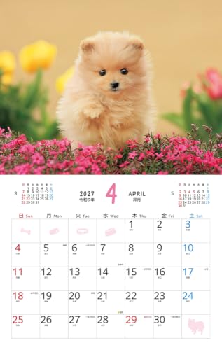 Fuwa Fuwa Wanko 2027 Calendar (Monthly/Wall Calendar) (Impress Calendar 2027)