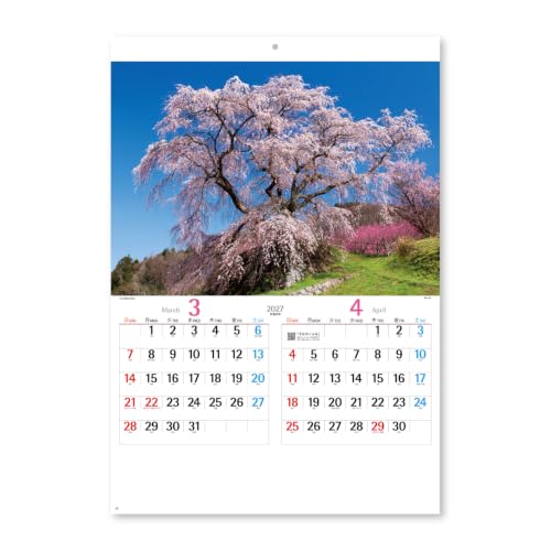 Innovator 2027 Wall Calendar L 31436006