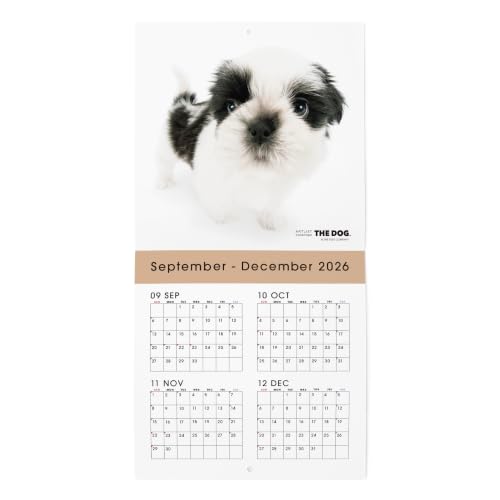 THE DOG 2027 Wall Calendar Mini Size [Shih Tzu]