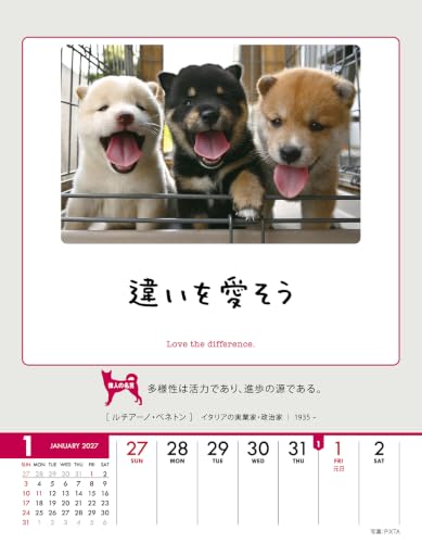 Try-X Only One Chance at Life! 2027 Desk Wall Calendar 27CL-383 18 x 14cm
