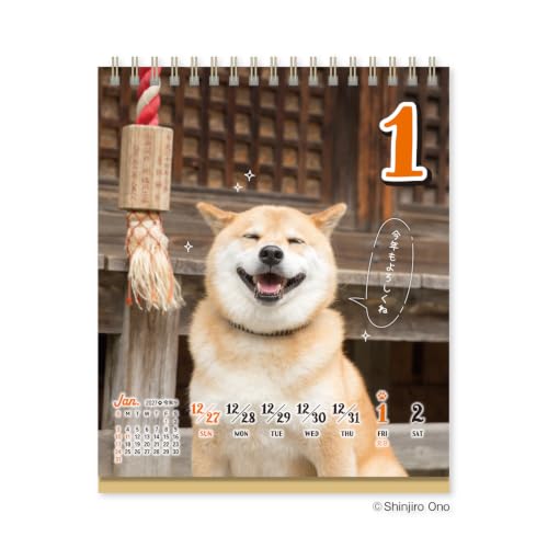 Eco Wall Calendar 2027 Modified B2 E31