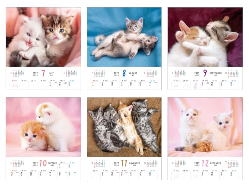 King Corporation 2027 Desk Calendar Fine Desk 160 x 180mm KC10004
