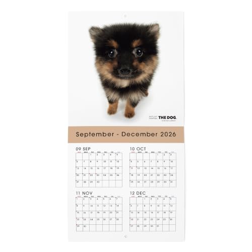 2027 Mini Calendar Mitsuaki Iwago Cats