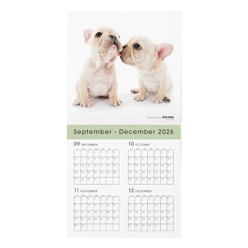 THE DOG 2027 Wall Calendar Large Size [French Bulldog]