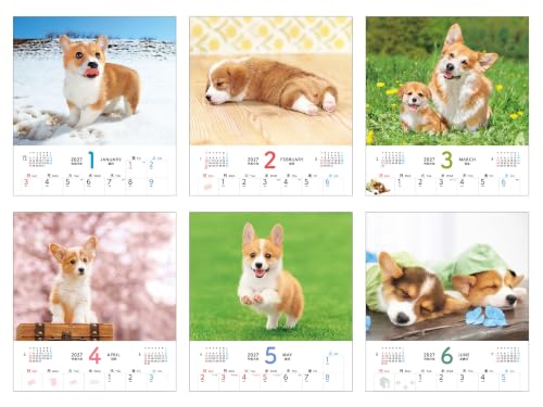 Gakken Sta:Ful 2027 Calendar Keiko Sena Megane Usagi Desk Calendar M10506