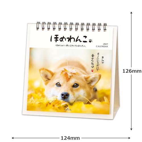 Hallmark 2027 Desk Calendar Homewanko 853402