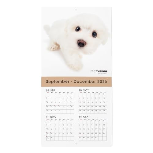 2027 Calendar Cats Collection