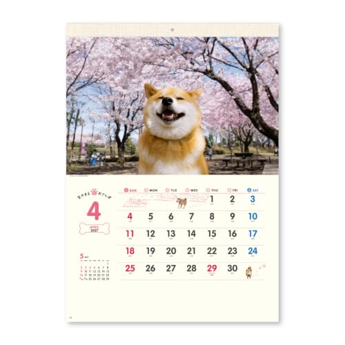 New Japan Calendar 2027 Wall Calendar Walk with Shiba Inu Maru Calendar NK35