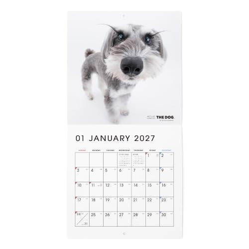 2027 Free Cats of the World Calendar