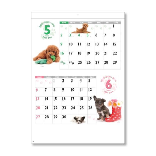 Eco Wall Calendar 2027 B5 E92