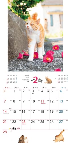 New Japan Calendar 2027 Wall Calendar Indigo Dye Monthly Calendar NK72