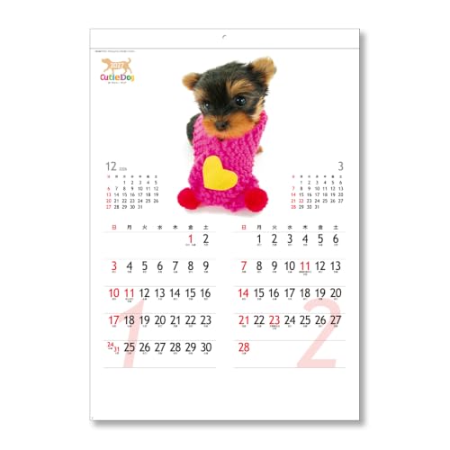 Eco Wall Calendar 2027 2-Month View Double B5 Size E93