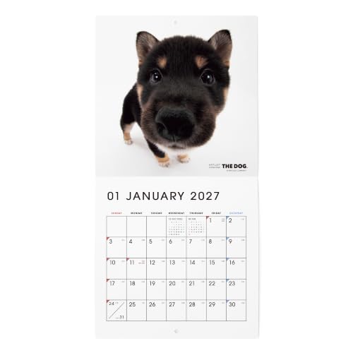THE DOG 2027 Wall Calendar Mini Size [Shiba]
