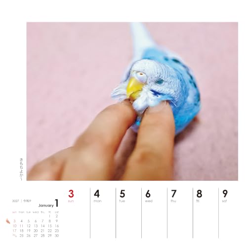 Yama-kei Calendar 2027 Parakeet Days (Weekly Calendar / Desk / Ring)