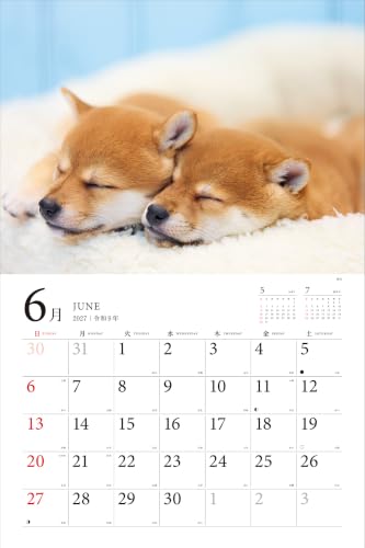 Adorable Dogs of Japan Calendar 2027 (Montly/Wall Calendar/Large)