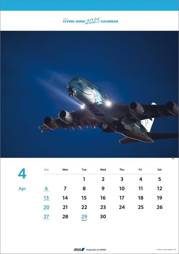 ANA 'A380 FLYING HONU' 2025 Wall Calendar CL25-1156