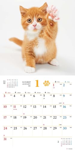 Fukufuku Koneko Calendar 2027 (Monthly/Wall Calendar) (Impress Calendar 2027)