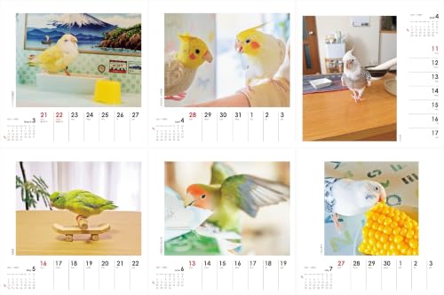 Yama-kei Calendar 2027 Parakeet Days (Weekly Calendar / Desk / Ring)