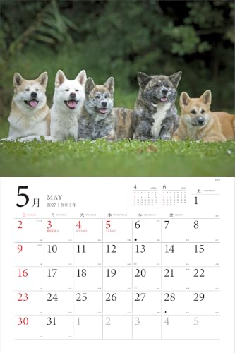 Adorable Dogs of Japan Calendar 2027 (Montly/Wall Calendar/Large)