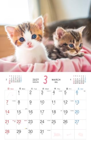 King Corporation 2027 Desk Calendar Fine Desk 160 x 180mm KC10004